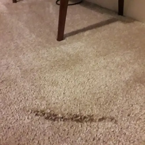 Carpet Burn Repair Craigieburn