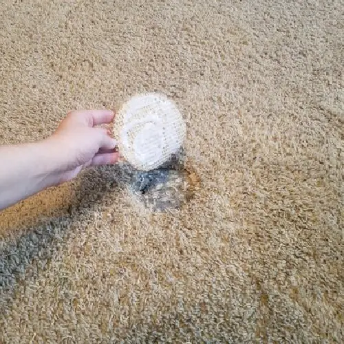 Carpet Hole Repair Craigieburn
